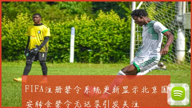 FIFA注册禁令系统更新显示北京国安转会禁令无记录引发关注