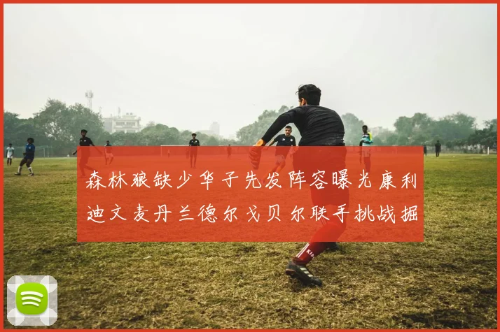 森林狼缺少华子先发阵容曝光康利迪文麦丹兰德尔戈贝尔联手挑战掘金