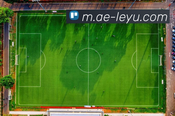 乐鱼体育APP 封面图